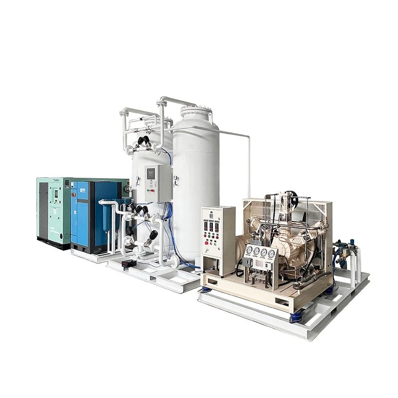Pharmaceutical Grade PSA Oxygen Generator factory